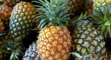 8 Jednoduchých receptů na výrobu čerstvého ananasového džemu